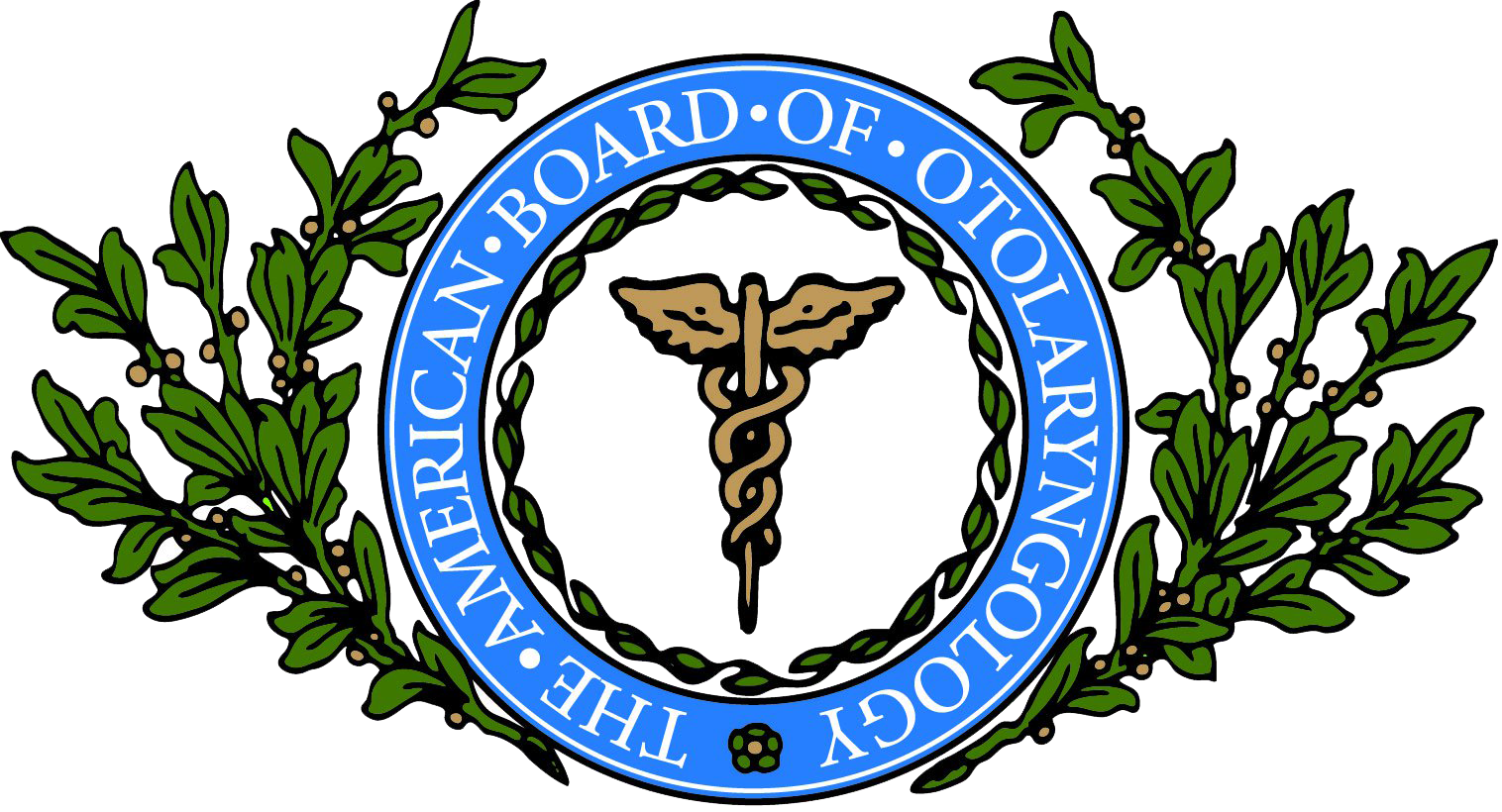 American Board of Otolaryngology - Head and Neck Surgery (1)